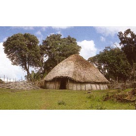 Cabane vgtale