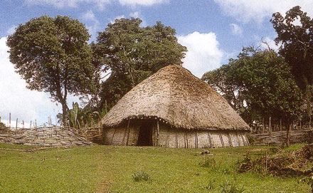 Cabane vgtale