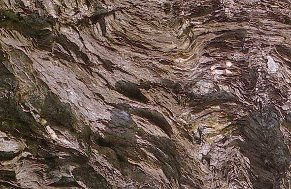 Roche mtamorphique