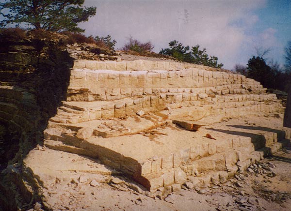 La periera
