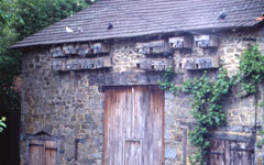 Blanzat, Linards