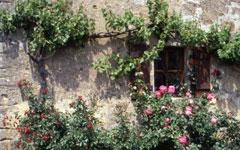 Le Bourg, Maslon