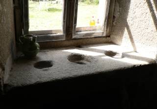 potager